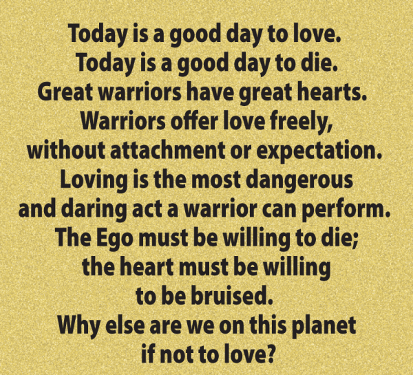 Warriors Good Day To Day Dr Lori Todd