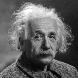 Albert Einstein Portrait Dr Lori Todd